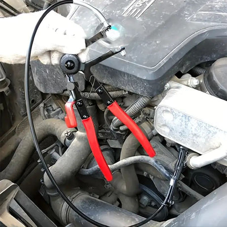 445529601